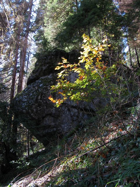 (480x640, 139Kb)