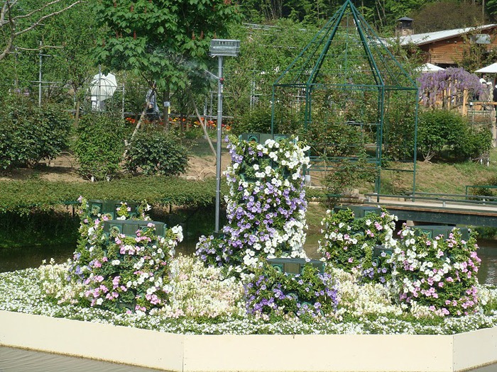 Японский Парк цветов Асикага (Ashikaga Flower Park) -2 12680
