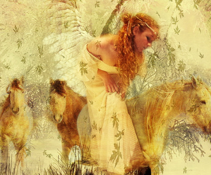 Angels and Fae by Rickbw1 (700x583, 188Kb)