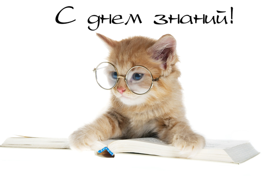 (550x353, 65Kb)