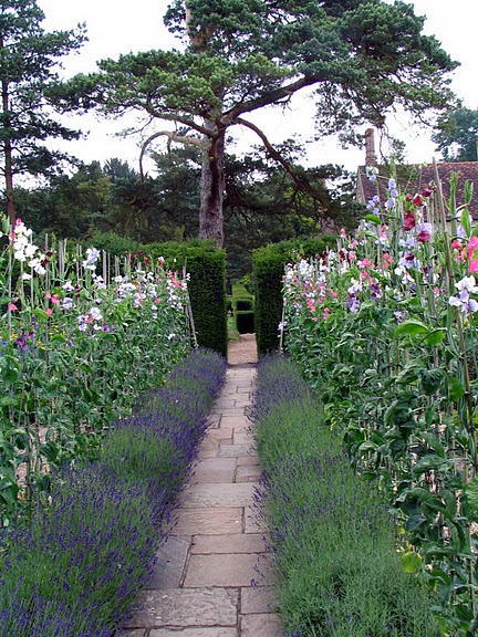 Ightham Mote- Kent 91990