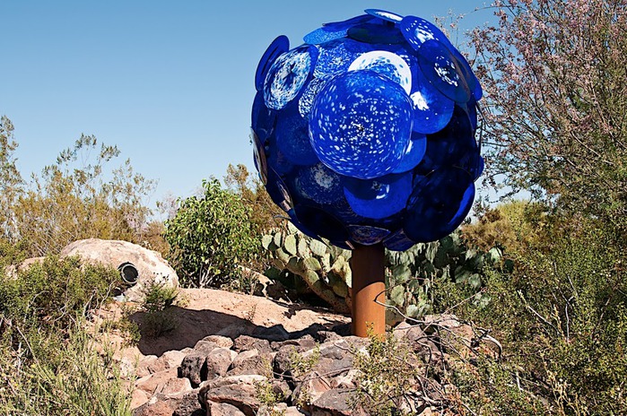 Стеклянные скульптуры Дейла Чихули в пустыне Феникс, Аризона 16153