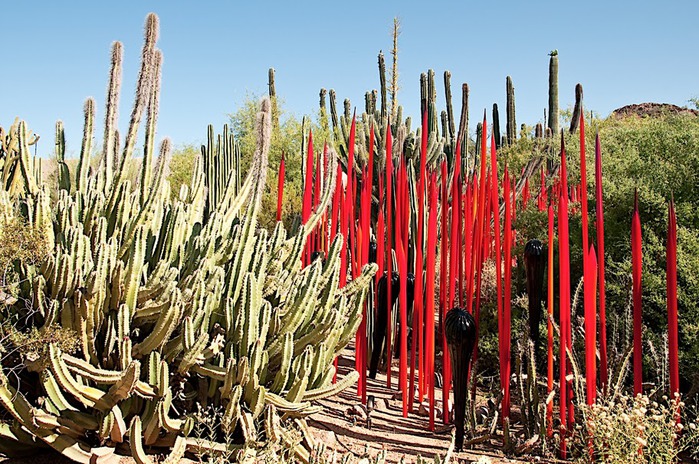 Стеклянные скульптуры Дейла Чихули в пустыне Феникс, Аризона 47894