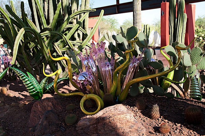 Стеклянные скульптуры Дейла Чихули в пустыне Феникс, Аризона 76661
