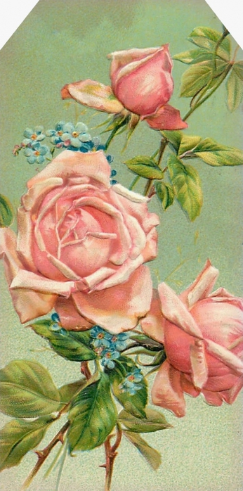 4964063_Floral_tag__pink_roses__lilacnlavender (346x700, 214Kb)