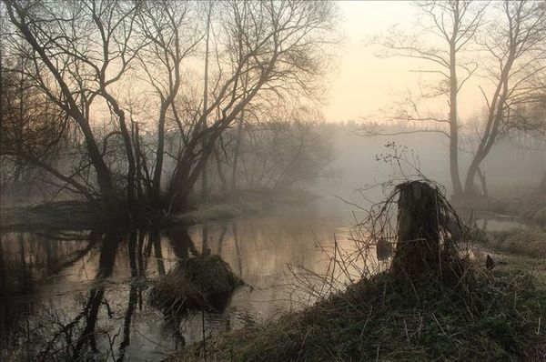 4d04c23fa7d91bb6803b7f2895c47bfa_99089 (600x398, 205Kb)