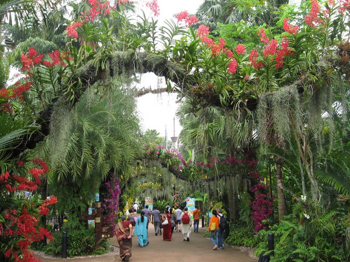 Singapore-Jurong-Bird-Park (700x525, 179Kb)