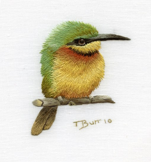 little-bee-eater-2 (570x606, 203Kb)