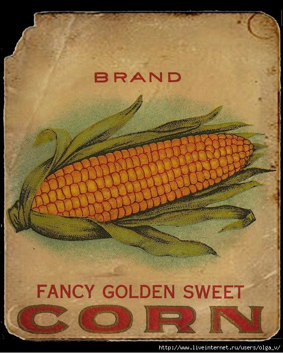 BA1191 Vintage Corn (560x700, 356Kb)