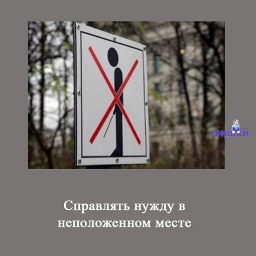 15 вещей, которые не стоит делать по пьяне 15 вещей, которые не стоит делать по пьяне