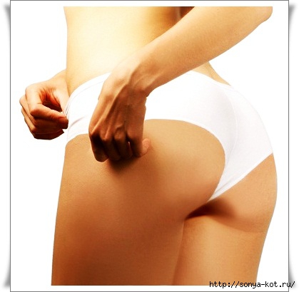 glutei-cellulite-dieta-fitness (419x410, 68Kb)