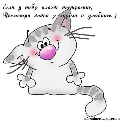 Открытки для веселого настроения 909