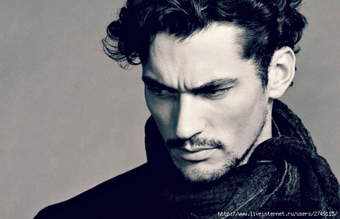 david_gandy-1565705 (700x450, 175Kb)