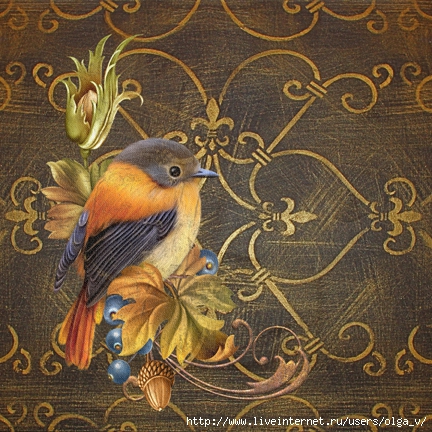 JP0548Glorious Bird on Damask-12x12-B1-Jean Plout 12714-72dpi (432x432, 223Kb)