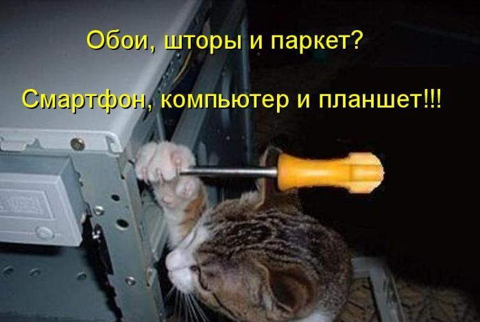 1401649509_cm_20140530_04019_001 (700x470, 186Kb)
