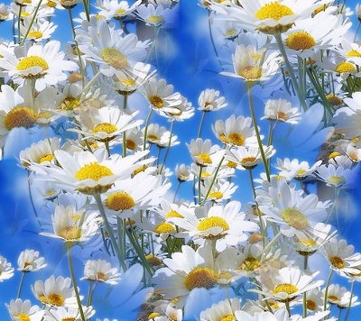 preview (6) (400x356, 53Kb)