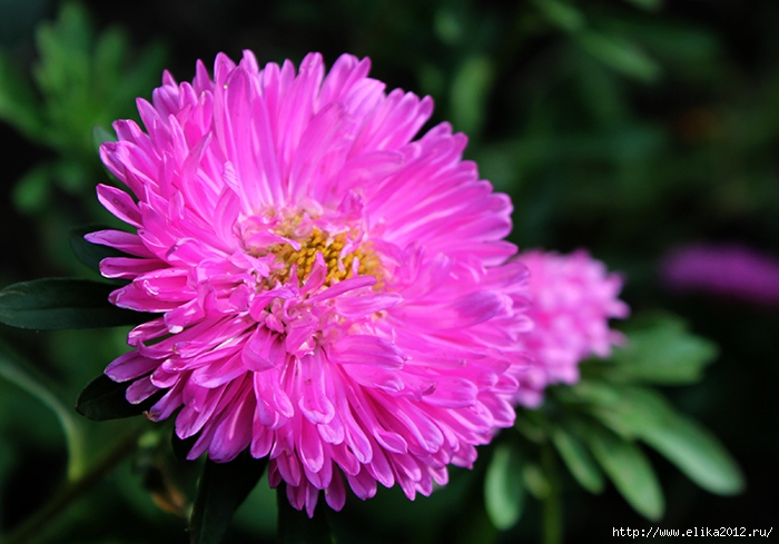18 (700x489, 235Kb)