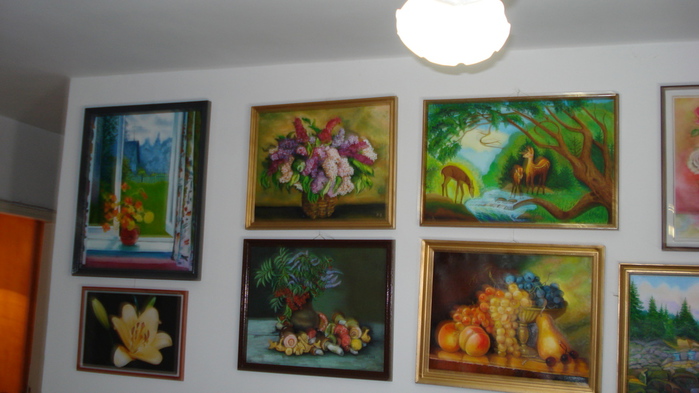 DSC00287 (700x393, 124Kb)