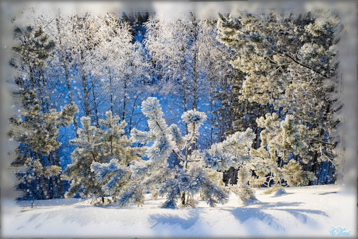 49825873_e678b121cb91 (700x467, 460Kb)
