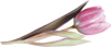 3906024_0_7ef25_45cbd30e_XS (100x43, 9Kb)