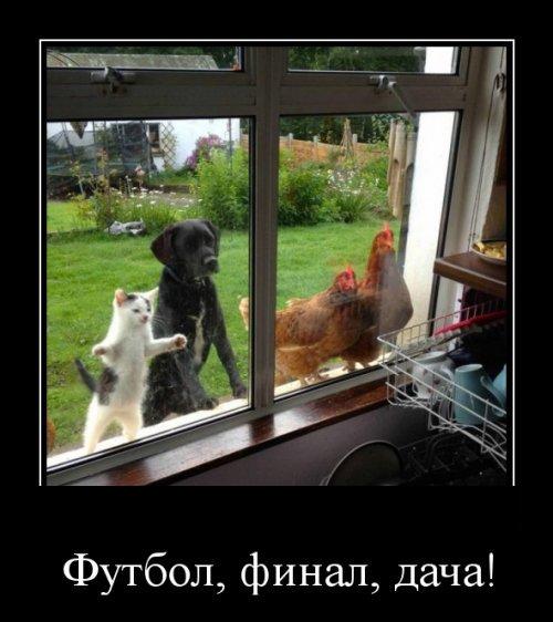 5680197_1999Futbolfinaldacha (500x562, 45Kb)