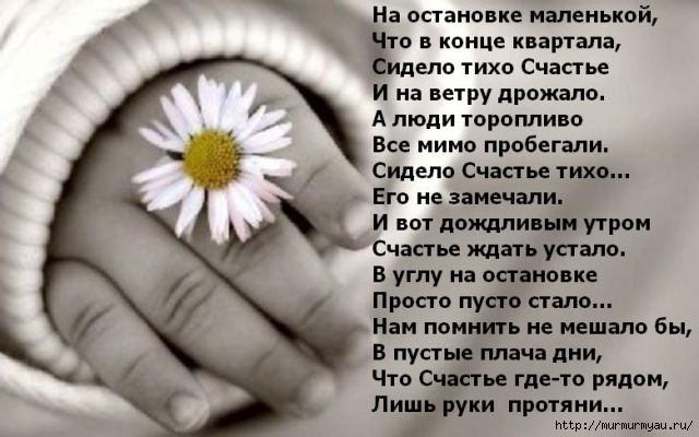 Красив стих о счастье Красив стих о счастье