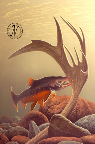 Arctic-Char-wm (319x480, 34Kb)