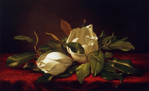 1385249930-martin-johnson-heade-11 (500x306, 125Kb)