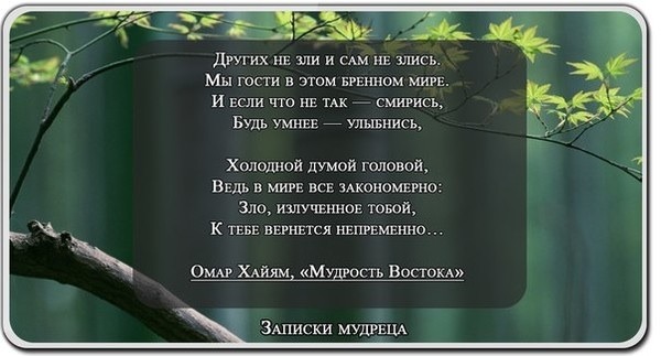 Как поздравить парня с днем рождения: 20 идей Как поздравить парня с днем рождения оригинально