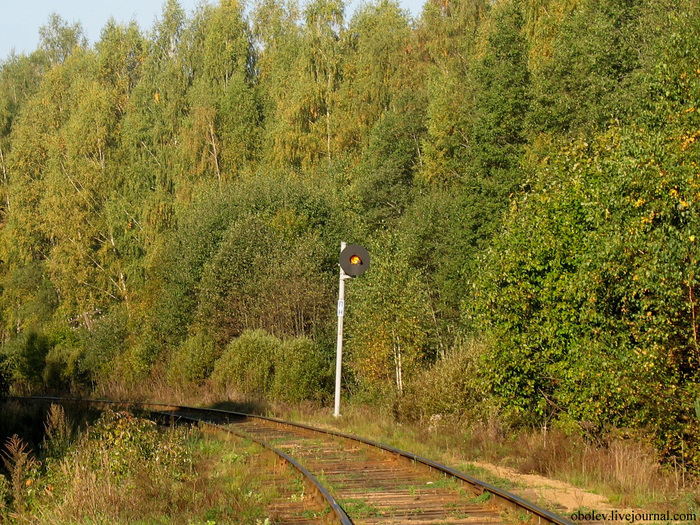 IMG_7672 (700x525, 306Kb)