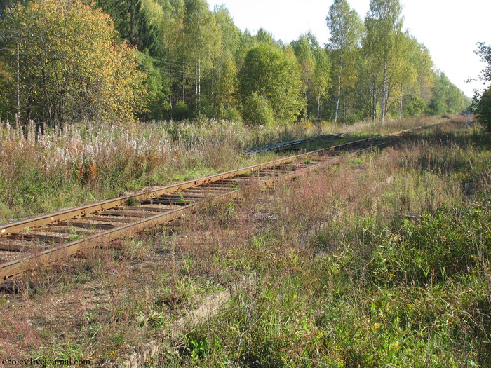 IMG_7700 (700x525, 291Kb)