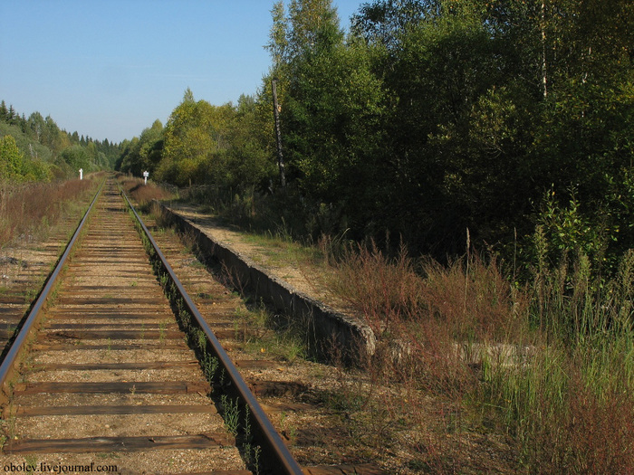 IMG_7772 (700x525, 227Kb)
