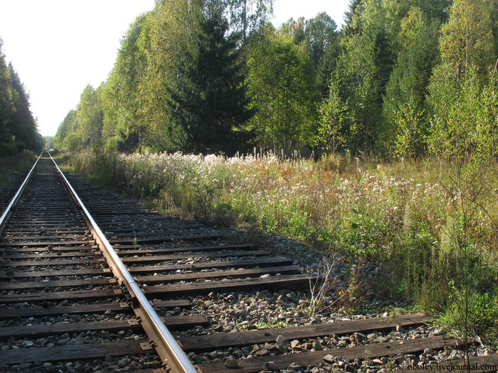 IMG_7806 (700x525, 268Kb)