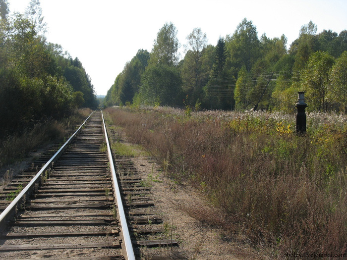 IMG_7809 (700x525, 209Kb)