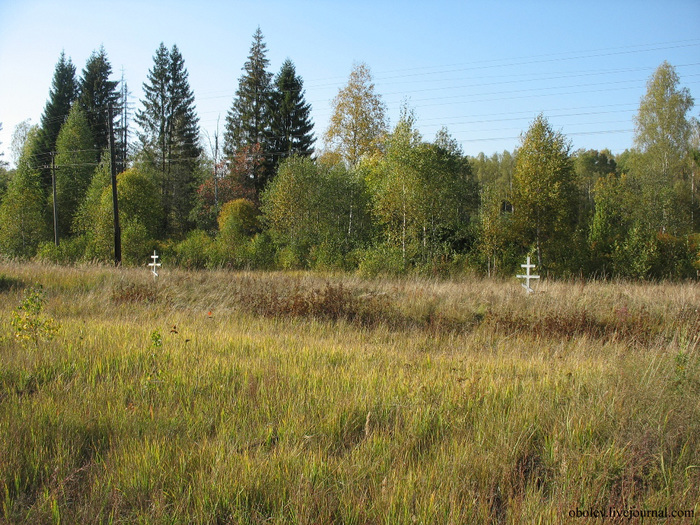 IMG_7813 (700x525, 242Kb)