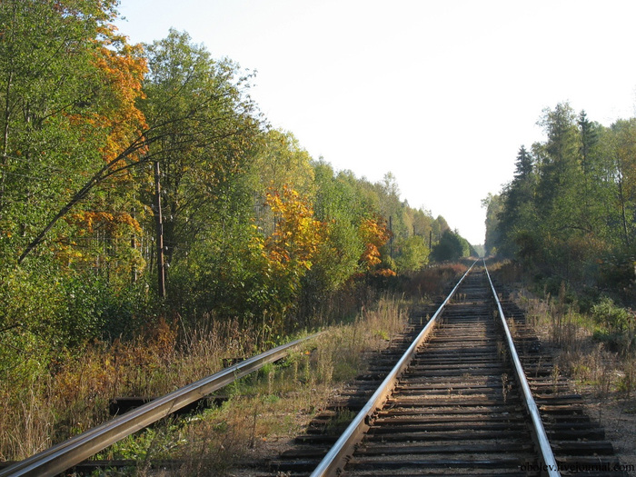 IMG_7849 (700x525, 217Kb)