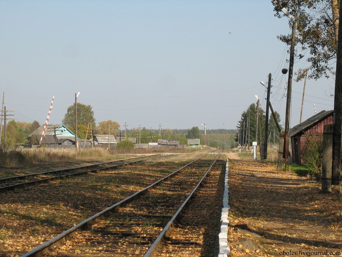 IMG_7944 (700x525, 187Kb)