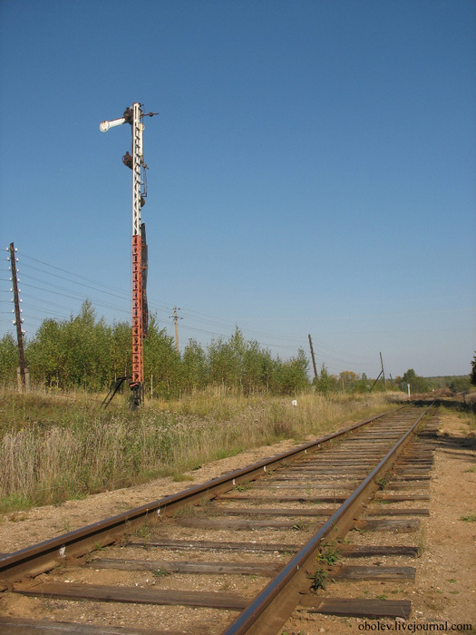 IMG_7960 (525x700, 150Kb)