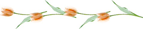 0_def36_700a2795_L (478x97, 4Kb)