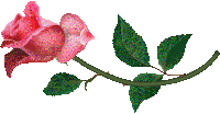 52210725_rozza (200x104, 21Kb)