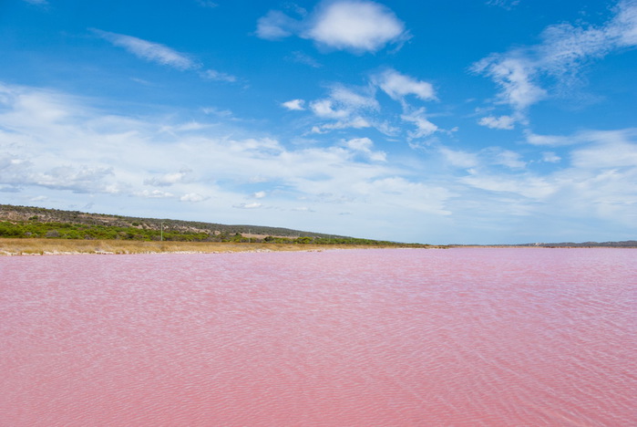Lake_Hillier_04 (700x468, 89Kb)