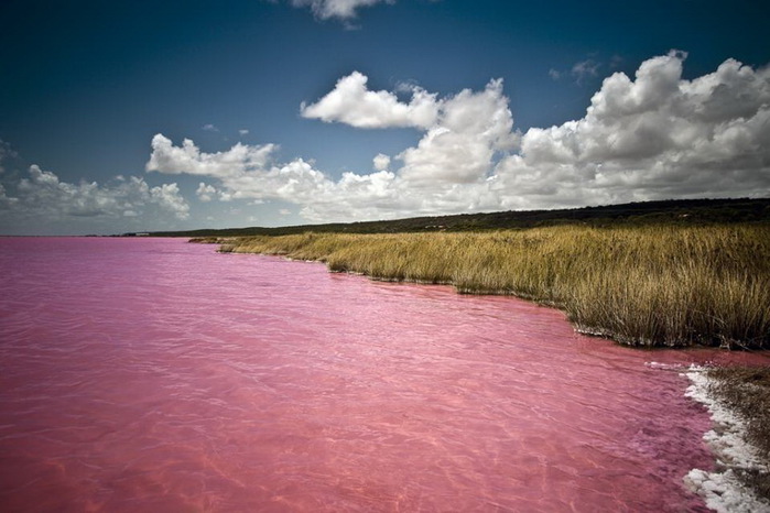 Lake_Hillier_05 (700x466, 96Kb)