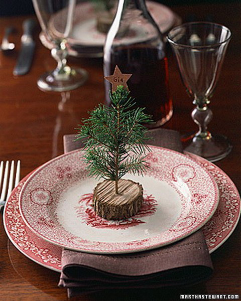 new-year-decorations-from-pine-branches-on-plate2 (480x600, 273Kb)