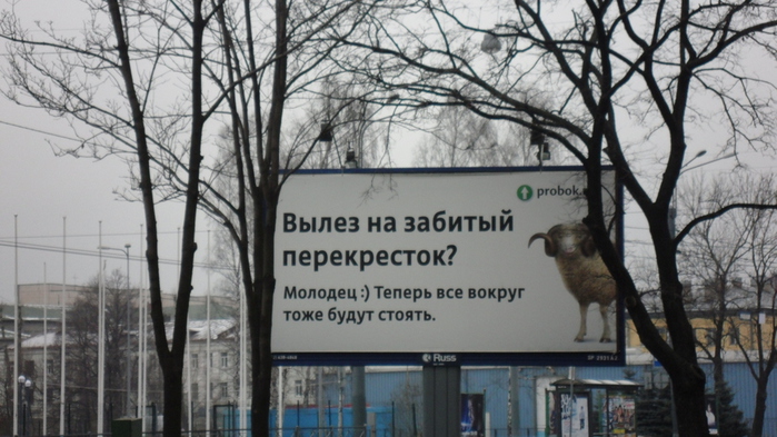 SDC14190 (700x393, 183Kb)