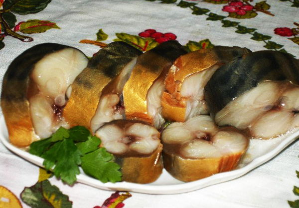 88958596_kopchpybatea01 (600x417, 136Kb)
