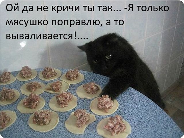 УЛЫБНИСЬ... /БРАТЬЯ НАШИ МЕНЬШИЕ/