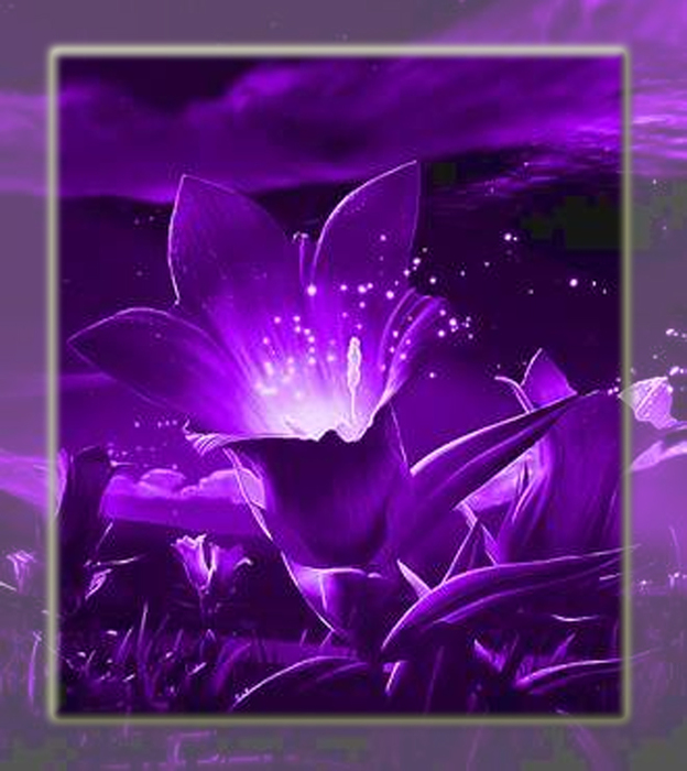 Violet_color (624x700, 267Kb)