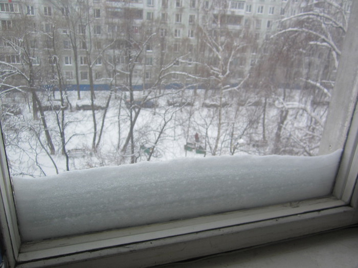 IMG_0157 (700x525, 83Kb)