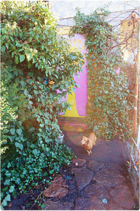 1 (465x700, 179Kb)