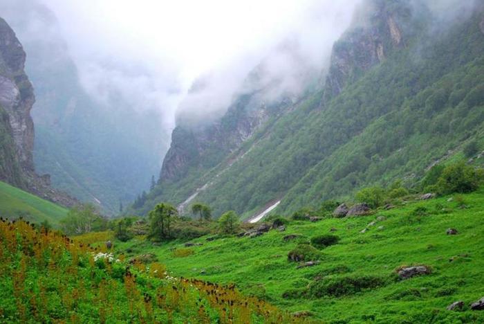 Национальный парк Долина цветов в Гималаях